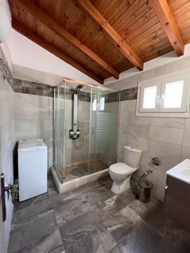 卡拉米Votsalo Pool Apts的带淋浴、卫生间和盥洗盆的浴室
