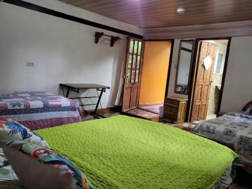 下博克特CreaDora的一间设有两张床的房间,里面是绿毯