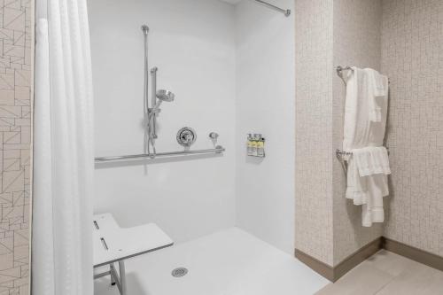 Holiday Inn Express & Suites Chicago O'Hare Airport, an IHG Hotel的一间浴室