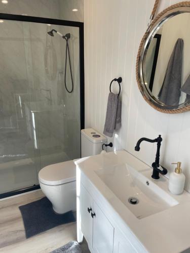 亚伯Farm Stay HARMONY Cottage at Wilindi Estate的一间带水槽、卫生间和镜子的浴室