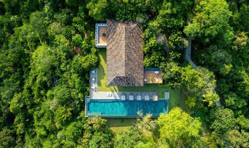 韦利格默Malabar Hill的森林中一座带游泳池的房子的顶部景色