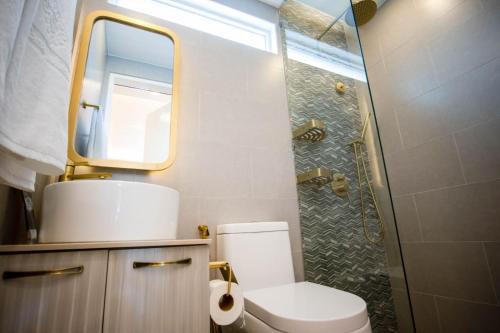 达沃市Casa Julieta Boutique Hotel的浴室设有卫生间和带镜子的淋浴