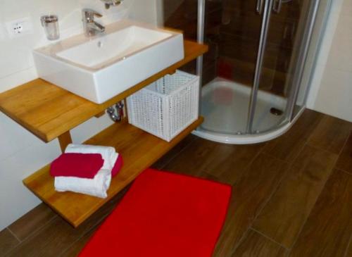 拉维拉Ciasa Irene App Mansarde的一间带水槽和红色地毯的浴室
