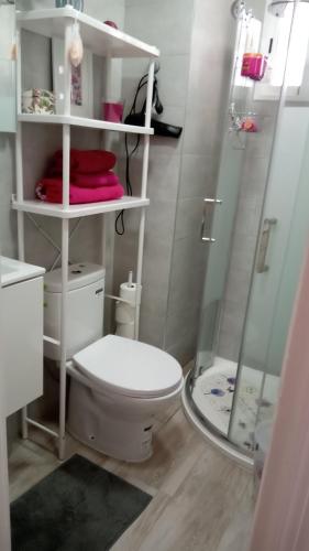 阿利坎特Habitación con baño privado en piso familiar的浴室配有白色卫生间和淋浴。