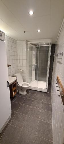 萨伦Stöten Mitt Apartment, Sälen的带淋浴、卫生间和盥洗盆的浴室
