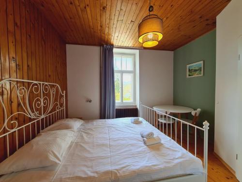 布莱德Vila Gorenka的一间卧室设有一张带木制天花板和窗户的床。