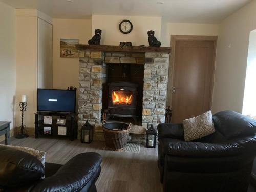 LaconnellCosy 2 Bedroom Cottage的客厅设有石制壁炉和电视。