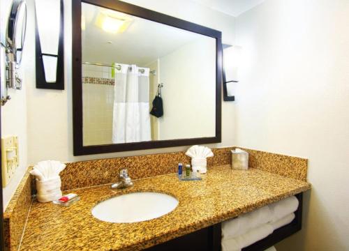 博伟公园Buena Park Grand Hotel & Suites的一间带水槽和镜子的浴室
