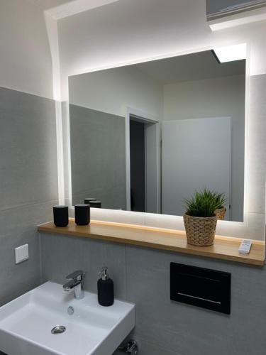 波鸿Kleiner Koenig - Appartement im Stadtzentrum的一间带水槽和大镜子的浴室