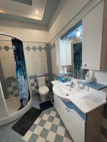 新安希亚洛斯Seaside apartment with private garden的一间带水槽、淋浴和卫生间的浴室