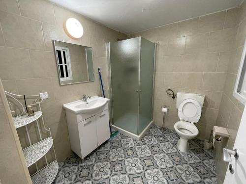 舍亚尔雅舒弗אל מול חרמון- דירה באווירה כפרית עם נוף לחרמון的带淋浴、卫生间和盥洗盆的浴室