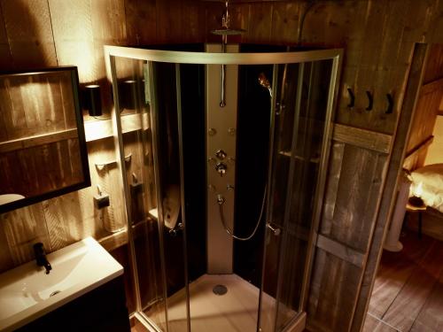 韦斯特卡佩勒Glamped - Luxe camping的带淋浴和盥洗盆的浴室