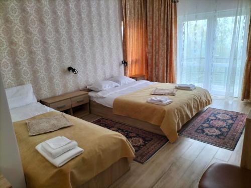 NucşoaraConacul Doamnei Nucșoara的酒店客房设有两张床和窗户。