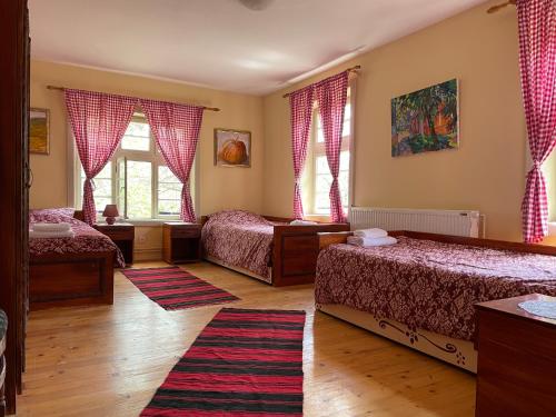 AleksandrovacEthno Village Slatkovac的一间卧室设有两张床和两个窗户。
