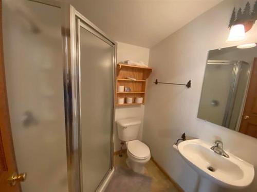 WarrensWarrens Cabin的带淋浴、卫生间和盥洗盆的浴室