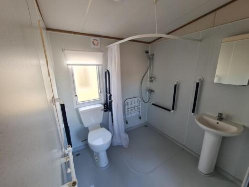 斯凯格内斯The Pearl - Deluxe Access Caravan的一间带卫生间和水槽的小浴室