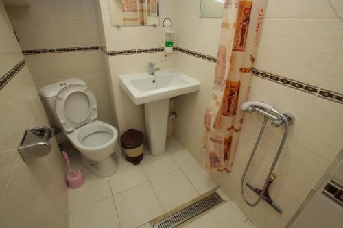 苏呼米Sukhum City Mini Hotel的一间带卫生间和水槽的小浴室