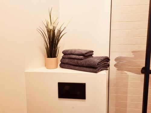 派尔努Supeluse 7-1 Guest Apartment by Annalie Apartments的浴室里的一个架子上堆着毛巾
