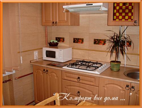 Apartments Zatyshok的厨房或小厨房