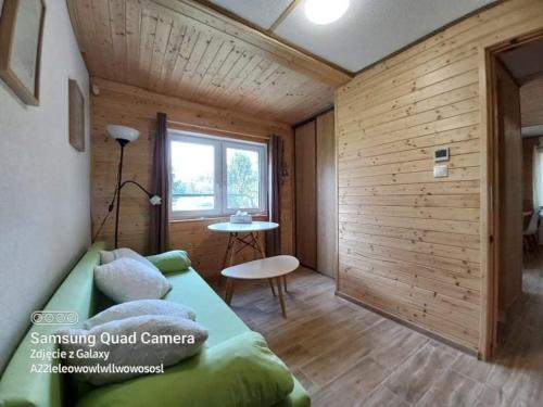 斯米扎尼Chata Dominika的一间设有绿床和桌子的房间