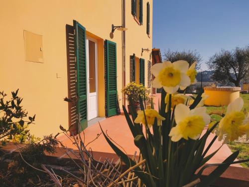 蒙特卡洛B&B La Casetta的一座绿黄色百叶窗和鲜花的建筑
