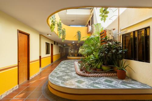 巴兰基亚Hotel Costa mar的建筑里一个有植物的空走廊