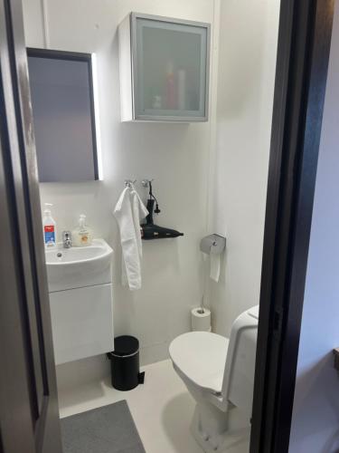 哈纳弗约德尔Studio apartment in Hafnarfjordur的白色的浴室设有卫生间和水槽。