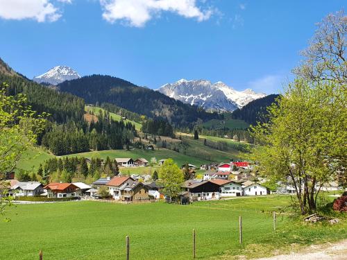 滕嫩山麓圣马丁Boutique Hotel Alpenhof的一座以绿色田野和山脉为背景的村庄