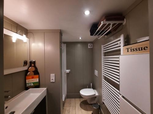 胡法利兹La Vieille Forge的一间带卫生间和水槽的小浴室