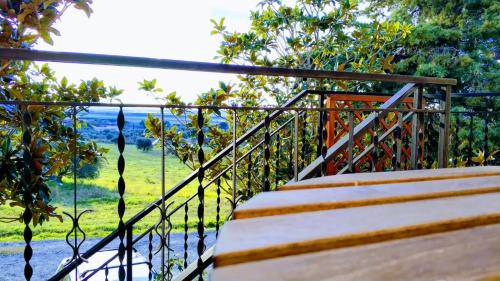 格罗塞托Casa vacanze Grancia的享有田野景致的楼梯