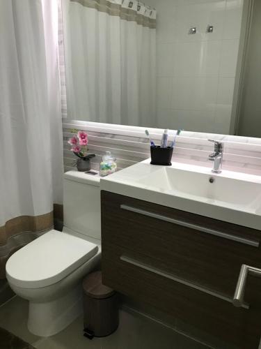 康塞普西翁Galardon AyC的一间带水槽、卫生间和镜子的浴室