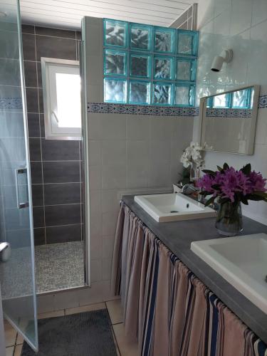 朗通Chambres d'Hotes des Ecureuils的一间带水槽和淋浴的浴室