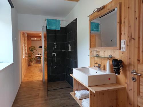 Gästehaus - Camping- Weinhof Radl的一间浴室