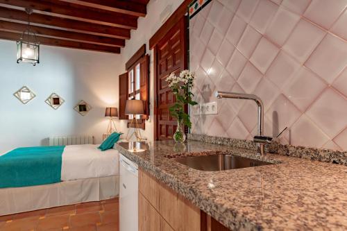 格拉纳达SUITES CASA DE LAS COLUMNAS的一个带水槽的厨房和一张位于客房内的床