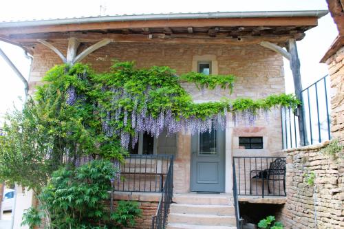 BurgyLE CLOS DES PIERRES ROUGES的前门有紫藤的房子