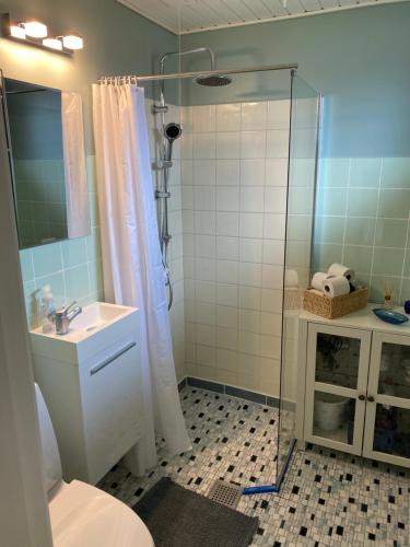 布罗艾厄AgerBro的带淋浴、卫生间和盥洗盆的浴室