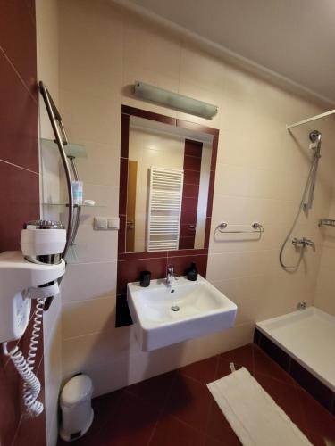 格拉博瓦茨缇纳酒店的一间带水槽、卫生间和镜子的浴室