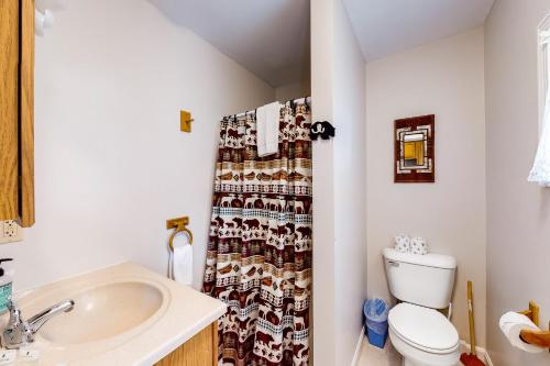 RockwoodThe Bear's Den的浴室配有水槽、卫生间和浴帘