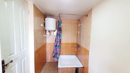 布哈拉Soliha&Yulduz Guesthouse的浴室配有淋浴和卫生间。
