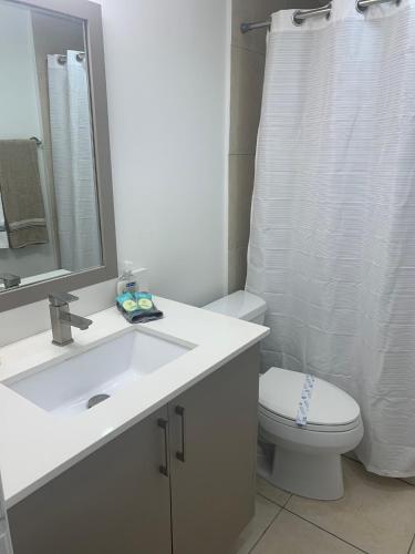 迈阿密海滩Great private room的一间带水槽、卫生间和镜子的浴室