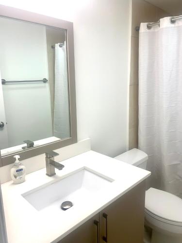 迈阿密海滩Great private room的一间带水槽、镜子和卫生间的浴室