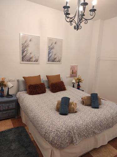 Precioso apartamento con aparcamiento gratuito客房内的一张或多张床位