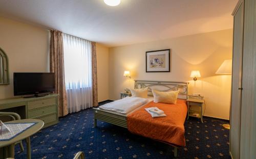 华法林安瓦里纳希酒店的配有一张床和一台平面电视的酒店客房