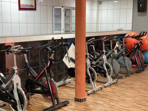 波多诺伏Mosaly Hotel PK10的健身房里排成一排的自行车
