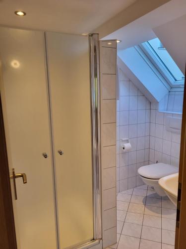 格斯韦因斯泰因森林公寓酒店的带淋浴和卫生间的浴室