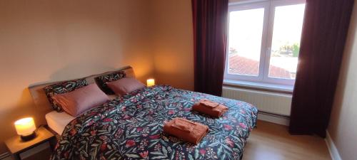 德帕内Kind -& diervriendelijk huisje的卧室配有带枕头的床铺和窗户。