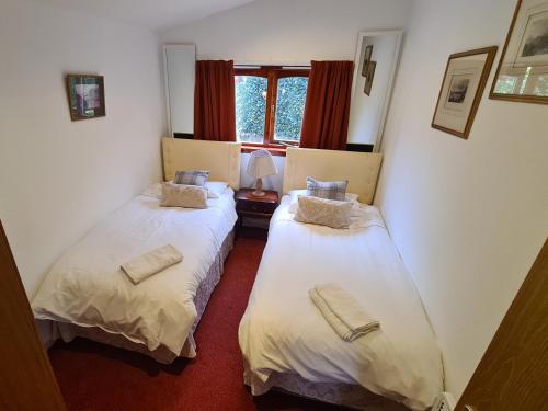 BenderlochHawthorn Self Catering Cottages的带窗户的客房内设有两张单人床。