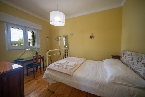 圣玛丽亚大德费拉Casa do Carvalhal - natureza no centro da cidade的一间卧室配有一张床、一张书桌和一个窗户。
