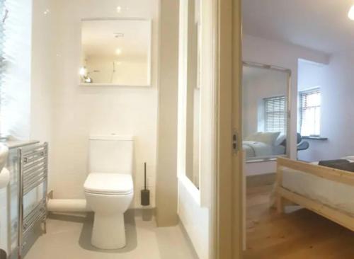 伯恩利Buck - En-suite Room in Canalside Guesthouse的浴室设有白色的卫生间和镜子