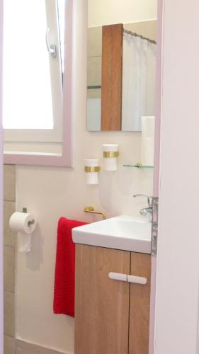 Saint-Genest-de-BauzonLES JARDINS CELESTES的一间带水槽和红色毛巾的浴室